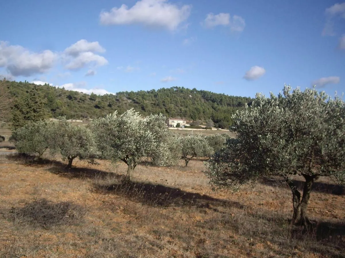 L' Oliveraie De Plerimond 오프스